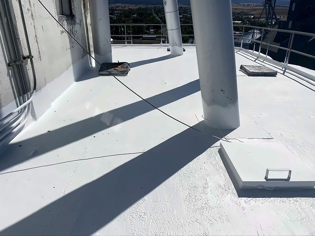 After: the same silo roof restored with a white coating