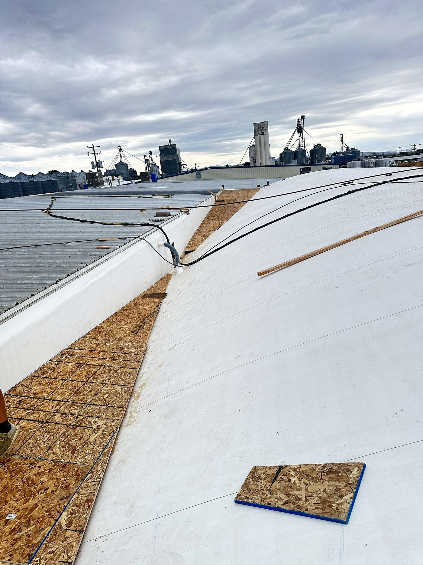 Metal roof with a rusted section next to a freshly coated white section